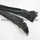 JDM DA6 Integra XSi Door Weatherstrip Set 