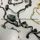 JDM DB8 Integra Type R 98spec Chassis Harness