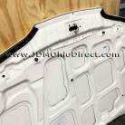 JDM DC2 Integra Type R Hood 