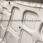 JDM DC2 Integra Type R Hood 