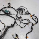 JDM DC2 Integra Type Rx 00spec Chassis Harness