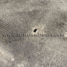 USDM DC5 Acura RSX Black Carpet 