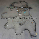 JDM EK9 Civic Type Rx 00spec Chassis Harness